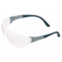 MSA Arctic Elite Eyewear